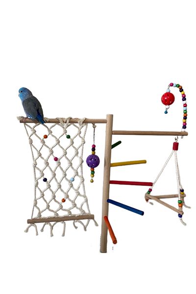 ADAPATİ PET Cage Top Game Perch with Bird Toy