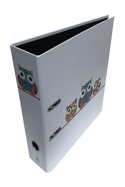 PAKLON Owls Large Folder