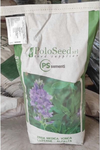 Ps Sertifikalı Kaplamasız ithal Yonca Tohumu Vanda 1 kg Alfalfa