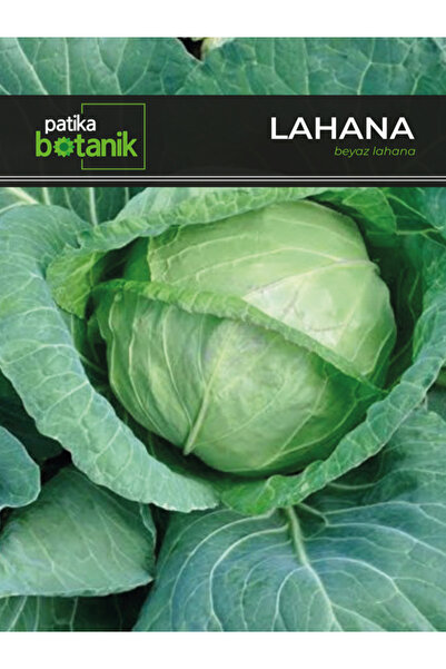 Patika Botanik 200 Adet Ata Tohumu Yerli Beyaz Lahana