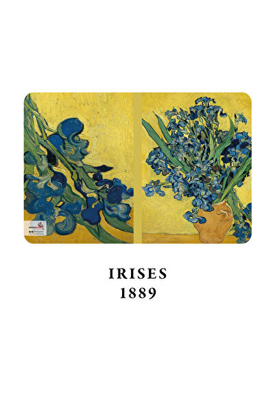 retronote مجموعة فان جوخ مكونة من 4 دفاتر ملاحظات 3 - سلسلة زهور - غير مبطنة - 48 صفحة - 10,5x14 سم