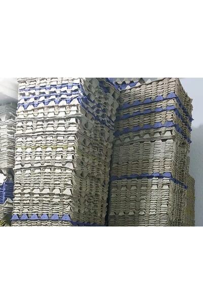 Baharın Organikleri (10 ADET)30'lu Karton Yumurta Viyolü (10 ADET 17LBS)- Víyol Toptan