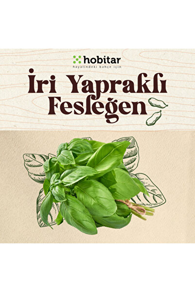 Genta Hobitar Kolay Yetişen Taze Yeşillikler Sebze Tohumu Paketi - 5 Çeşit Aromatik Tohumu