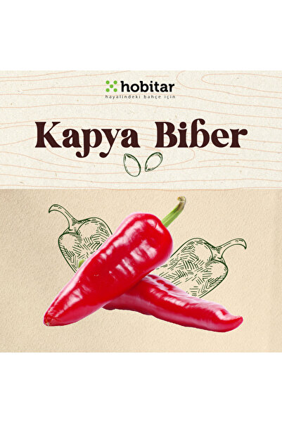 Genta Hobitar Kapya Biber Tohumu