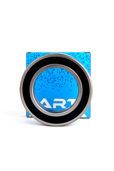 ART 6002.2RS ART RULMAN