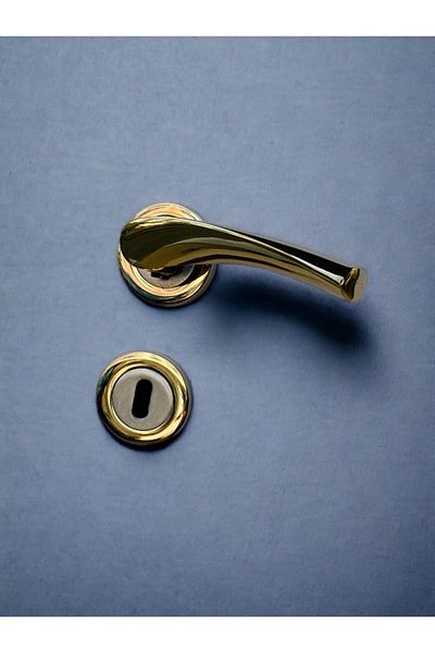 RENK YAPI RÜYASI AMERICAN DOOR HANDLE DINING ROOM HANDLE STURDY SPRING MECHANISM METAL CAST HANDLE LONG-LASTING GOLD COLOR