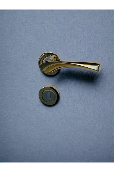 RENK YAPI RÜYASI AMERICAN DOOR HANDLE DINING ROOM HANDLE STURDY SPRING MECHANISM METAL CAST HANDLE LONG-LASTING GOLD COLOR