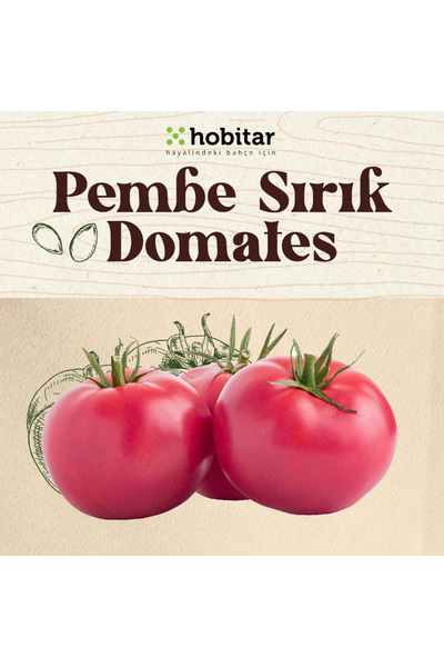 Genta Hobitar Pembe Sırık Domates Tohumu