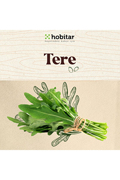Genta Hobitar Tere Tohumu