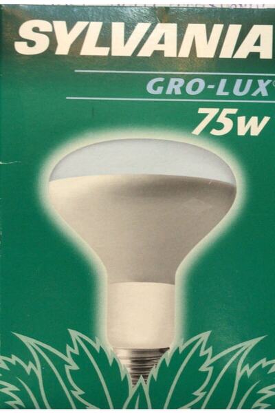 Sylvania Sylvanıa 75w E27 Duylu Grolux Akvaryum Ampülü