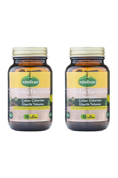Mindivan Tribulus Terrestris for Men 500 mg 60 Capsules x2 Piece