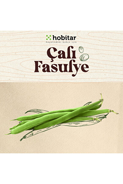 Genta Hobitar Çalı Fasulye Tohumu