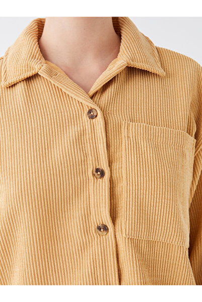 LC Waikiki Shirt Collar Plain Long Sleeve Velvet Women's Tunic