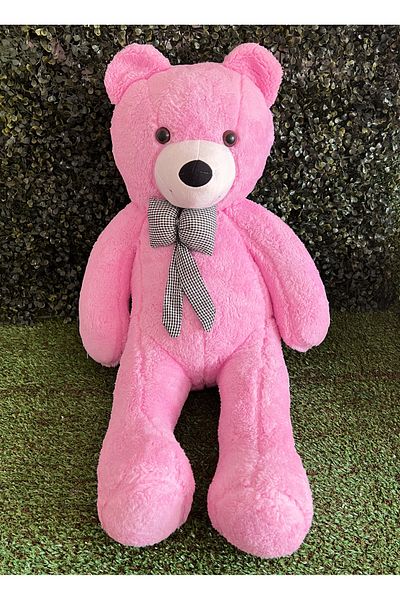 lenostra Custom Gift for Lover 80cm Pink Plush Teddy Bear