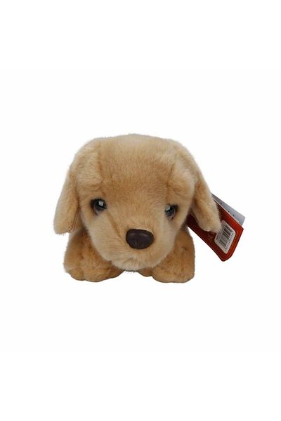 Sunman Baby Labrador Plush Dog 32 Cm