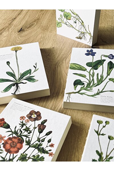 Fark Tanıtım A5 Enzo Striped Notebook with Special Design Cover - 180 Degree Opening, 100% Handcrafted