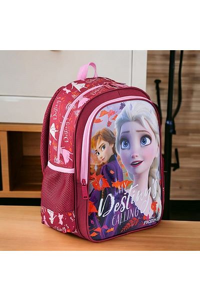 Frozen PRIMARY BAG HAWK MY DESTINY AND FEEDING BAG