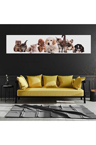 HDART Veteriner Petshop İçin Kedi Köpek Papağan Kuş Tavşan Duvar Kanvas Tablo Tablosu tabloları