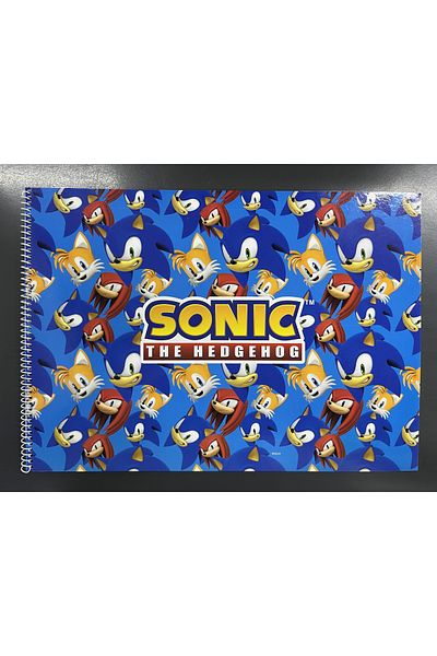 TMN Sonic picture book licensed
