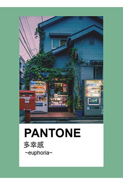 Universal Πίνακας - Πολύχρωμο