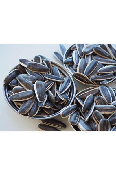 TicaretDenizi Çiğ Siyah Ay Çekirdeği Dakota İri Boy Elek Üstü İnegöl Yerli 20...