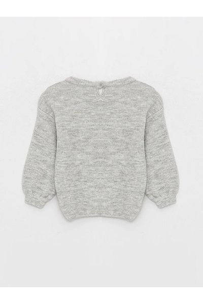 LC Waikiki LCW baby Crew Neck Embroidered Baby Girl Knitwear Sweater