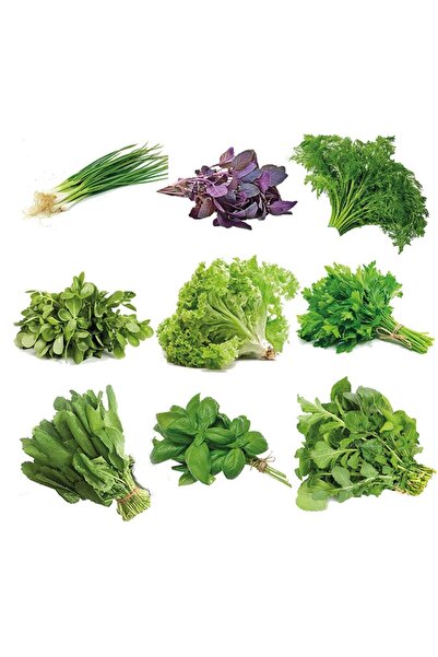 OXE GARDEN Süper Karışık Yeşillik 9 Çeşit 1000+ Adet Doğal Tohum Saksı Ve Bah...