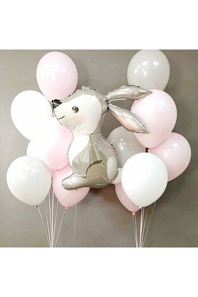 DÜVENCİ TİCARET 1 RABBIT BALLOON SET