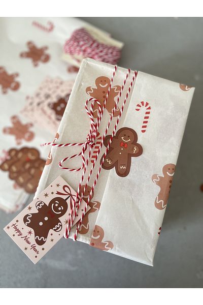 Meyofficial Christmas themed gingerbread man packaging kit