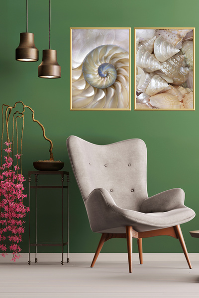 Linacci Triple Seashell Glass Painting Metal Kitchen Living Room Decorative Nature Framed Set