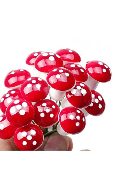 Nikah Şekeri Market Kırmızı Beyaz Mantar 10 Adet Teraryum Minyatür Süsleme Ve...