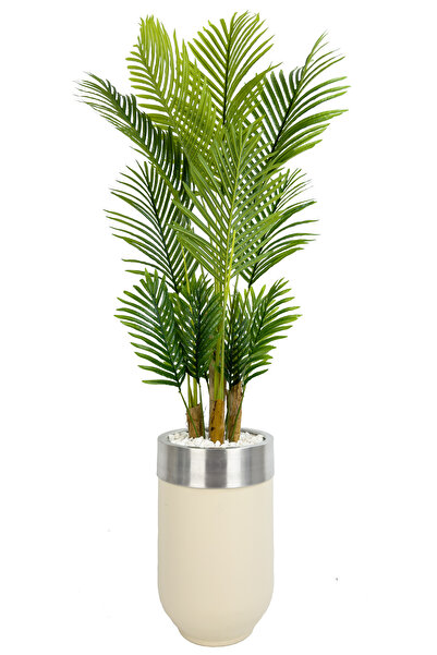 BİÇİÇEK Areka Palmiyesi 160cm krem gümüş metal darbuka saksıda
