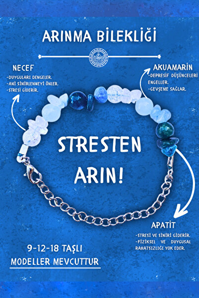 Chi Zen Purification Natural Stone Talisman Bracelet with Chain Broken Stone ...