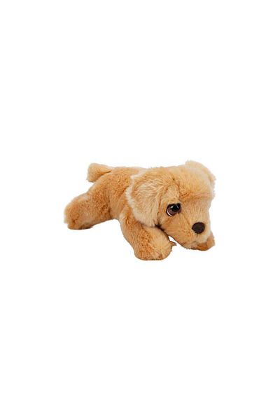 Sunman 25 Cm Labrador Plush Dog