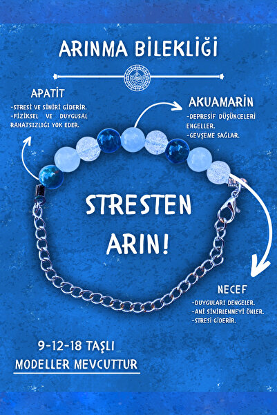 Chi Zen Purification Natural Stone Talisman Bracelet Plain 8MM with Chain (Aq...