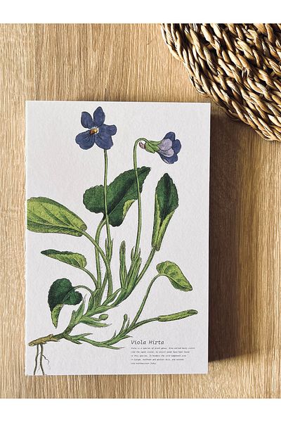 Fark Tanıtım A5 Enzo Striped Notebook with Special Design Cover - 180 Degree Opening, 100% Handcrafted
