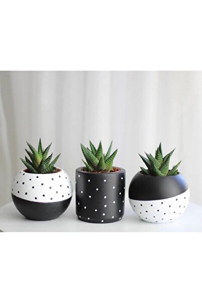 Big Craft Dalmaçya Model Beyaz Benekli Beton Saksı Seti