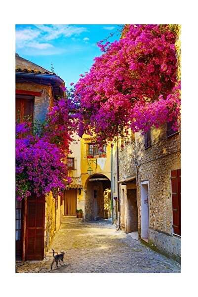 HD Sanatsal Decorative Canvas Print