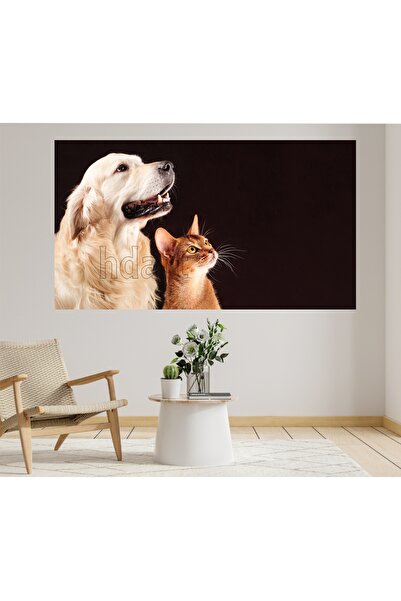 HDART Veteriner Petshop Kedi Köpek Papağan Kuş Tavşan Duvar Kanvas Tablo Tabl...