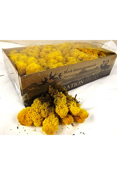 trendbahce Hardal Şoklanmış Reindermoss Teraryum Yosunu 30 Gr