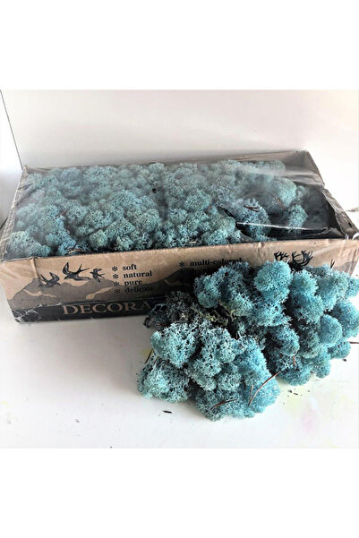 trendbahce Aquamarin Şoklanmış Reindermoss Teraryum Yosunu 30 Gr
