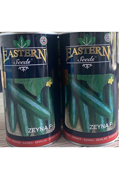 AKGEN TARIM ZEYNA F1 EASTERN SEEDS HASEL HIYAR TOHUMU(HİBRİT HIYAR)-2500 ADETLİ