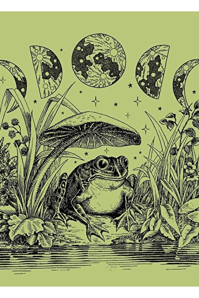 Universal Drăguț Cottagecore Estetic Broască Ciupercă Lună Vrăjitoare Vintage...