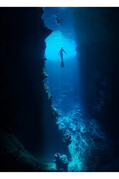 Universal Δωρεάν Διακοσμητική Ξύλινη Αφίσα Υποβρύχιου Πίνακα