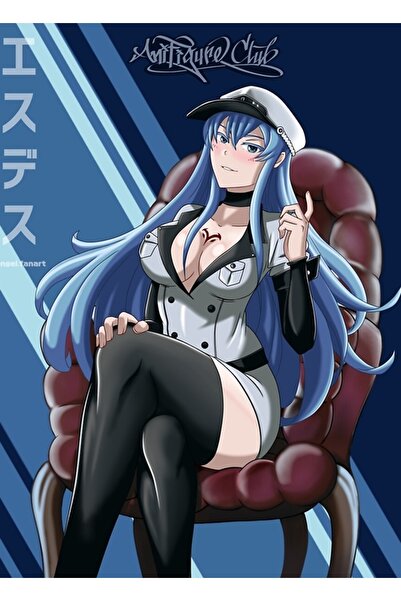 Universal Γενική ξύλινη αφίσα ζωγραφικής τέχνης Esdeath, διακοσμητική