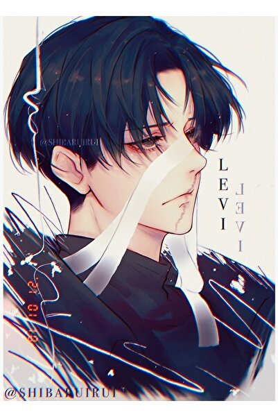 Universal Levi Ackerman Attack on Titan Tablo Ahşap Poster Decorative Poster