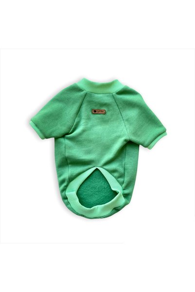 Luli Pet Basic Yeşil Kedi Köpek Sweatshirt