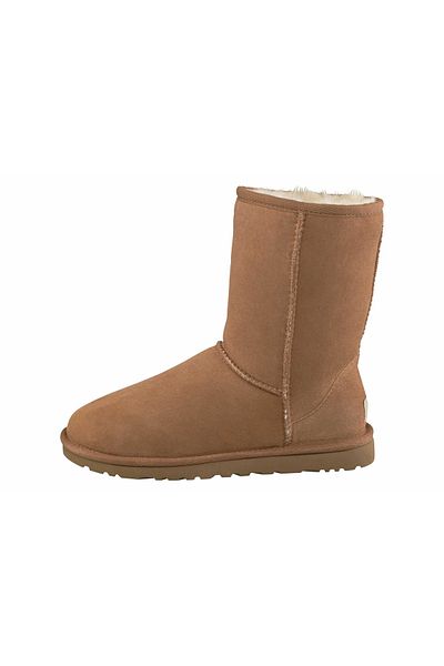 UGG UGG Brown Booties Womens Shoes