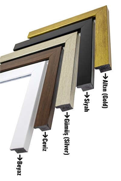 beedene Göktürk Bayrağı Çerçeveli Tablo