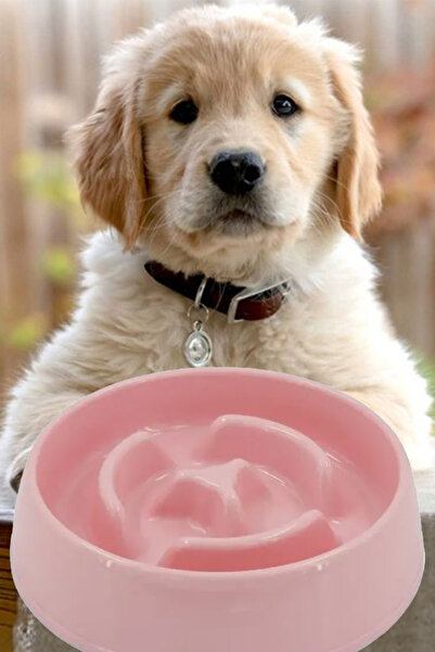 MOBEE Evcil Hayvan Yavaş Mama Yeme Kabı Yavaş Besleyici Kedi Köpek Mama Kabı ...